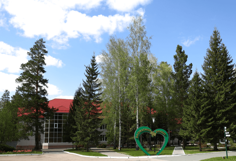 Березовая роща, Алтайский край